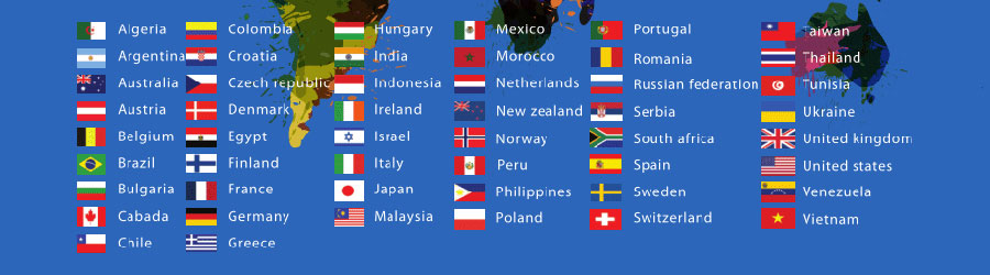 英文网站优化小语种网站建设  第1张