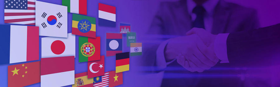 英文网站优化小语种网站建设  第2张