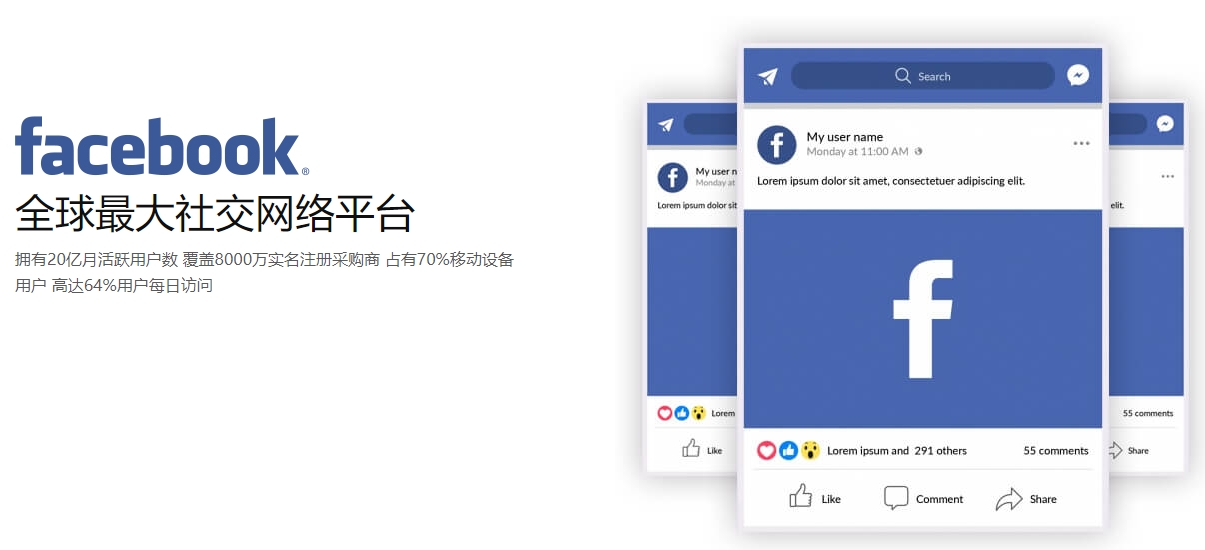 英文网站优化海外社交媒体营销  第1张